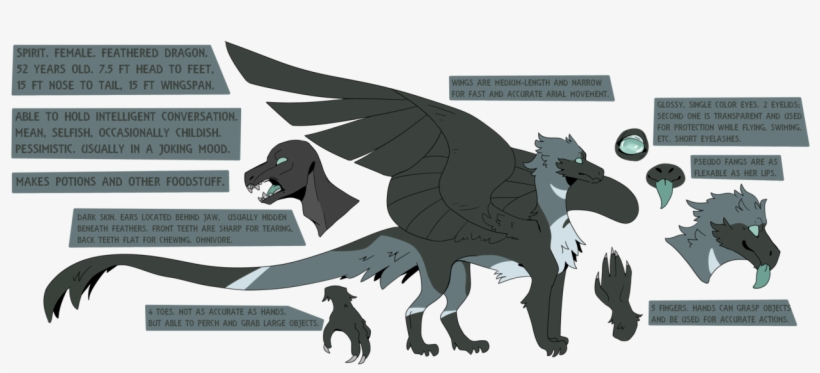 Idk I Made A New Ref For My Dragon Babe - Illustration, transparent png download