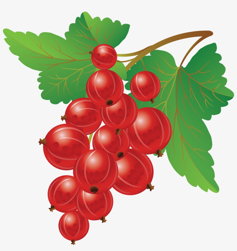 Clip Art - Красная Смородина Пнг, transparent png download
