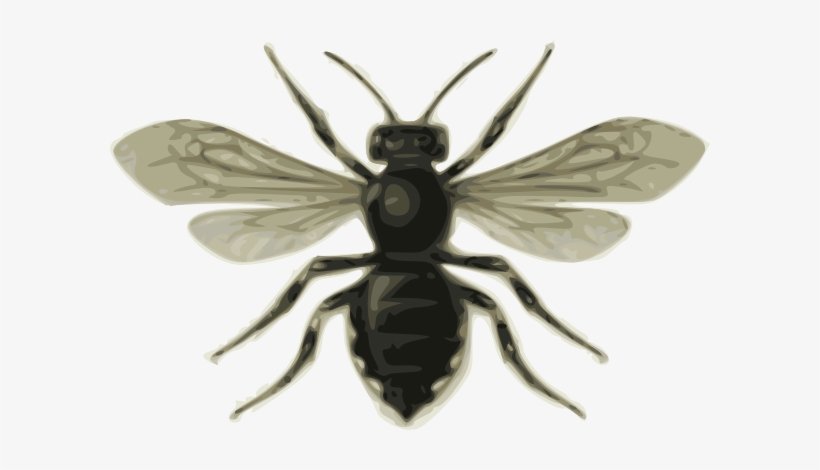 Free Vector Bee Clip Art - Bee Clip Art, transparent png download