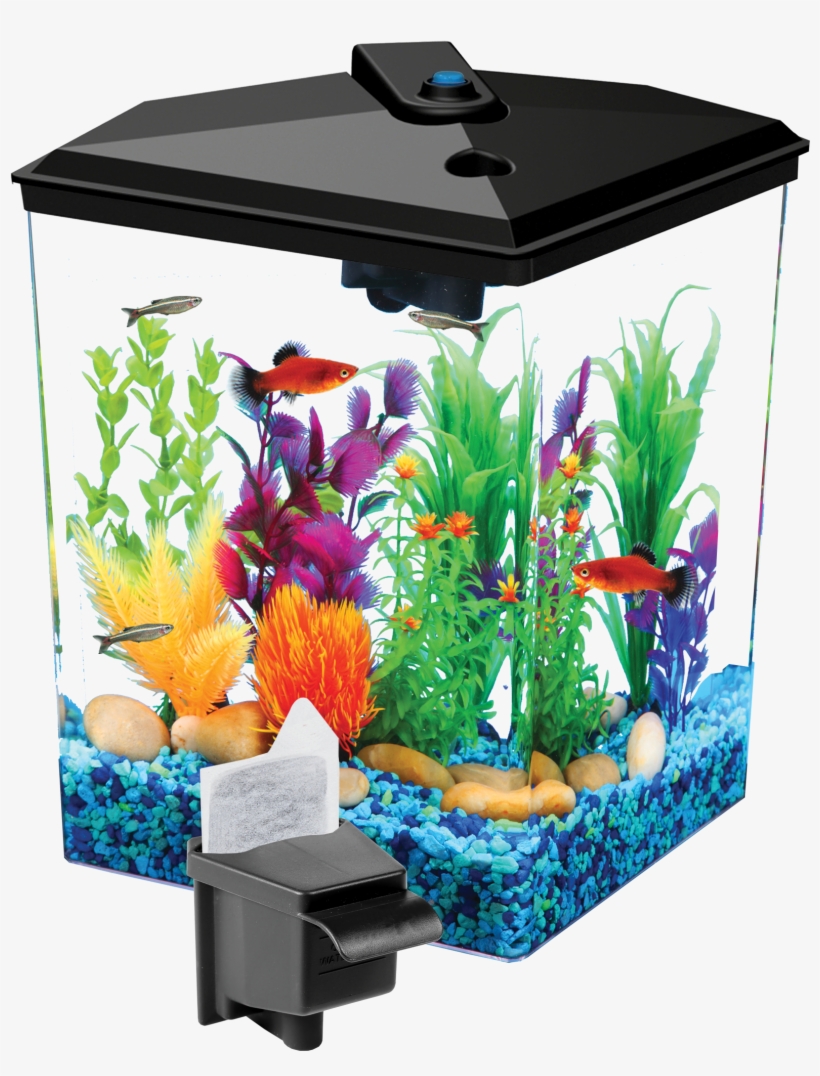 Aqua Culture Gallon Aquarium With Led Lighting And - Aqua Culture 2.5-gallon Corner Aquarium Kit, transparent png download