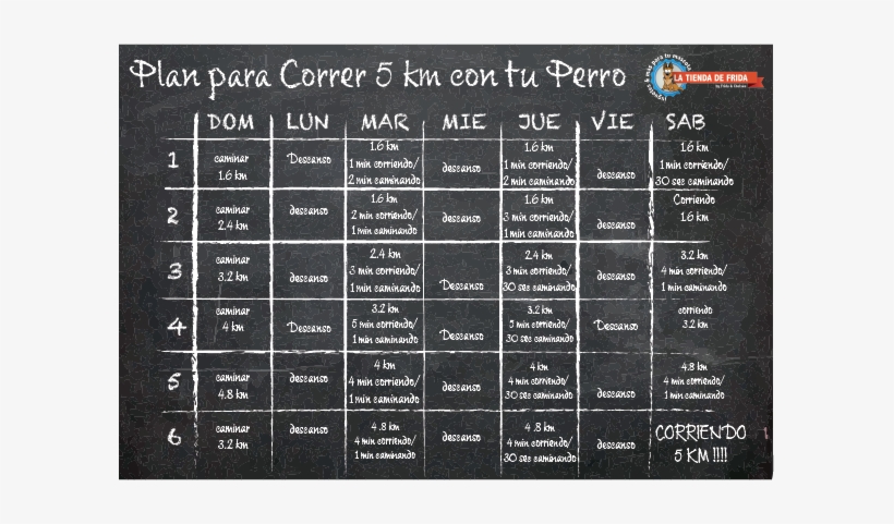 Corre Con Tu Perro 5km Pizarron Entrenamiento 5k - Tener Condición Para Correr, transparent png download