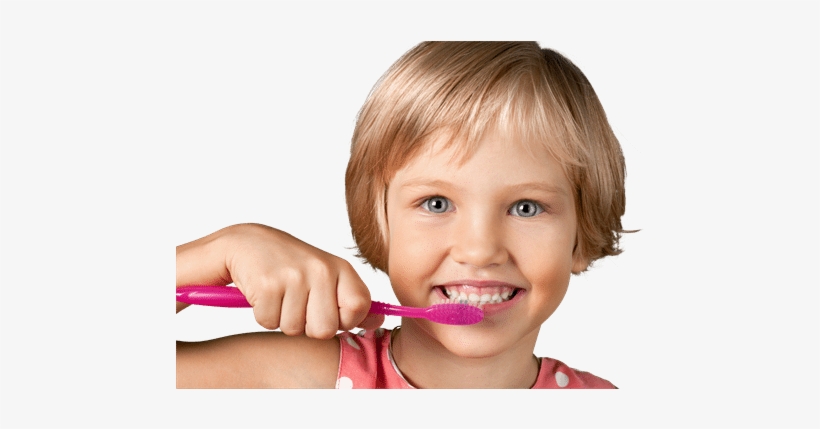 You Can Download And Print The Chart Below And Tape - Tooth Brushing, transparent png download