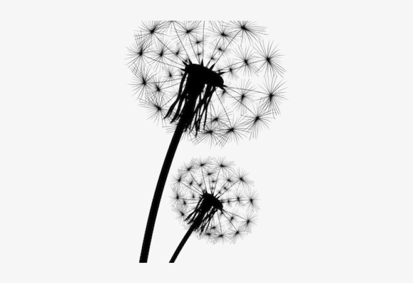 Dandelion Clipart, transparent png download