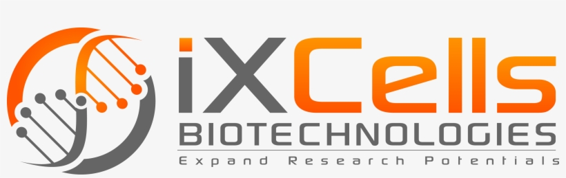 Ixcells Biotechnologies - Cells Logo, transparent png download