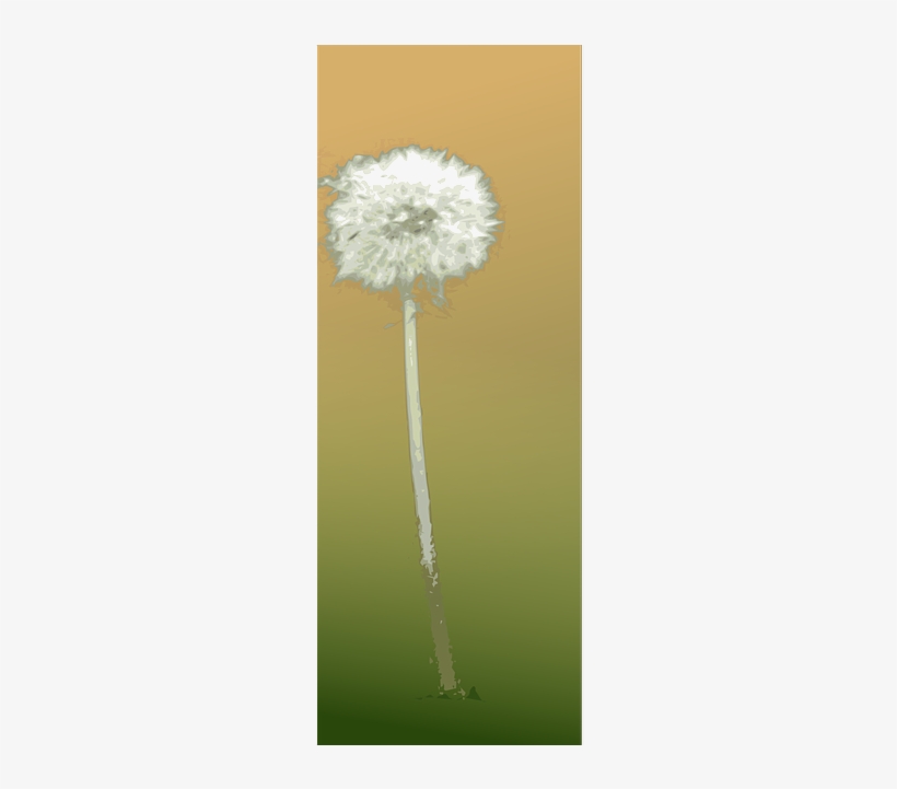 Dandelion, Flower, Autumn, Summer, Botany, Plant - Dandelion, transparent png download