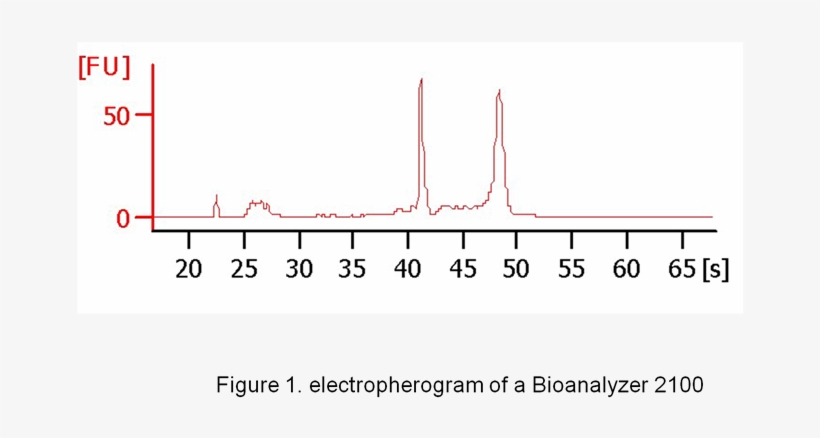 Human Peripheral Blood B Cell Total Rna - Diagram, transparent png download