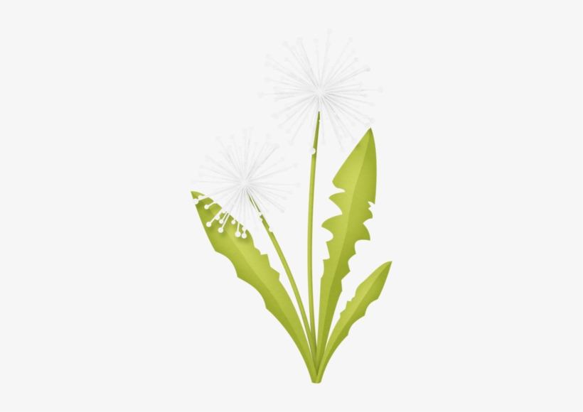 Dandelions - Tinker Bell, transparent png download