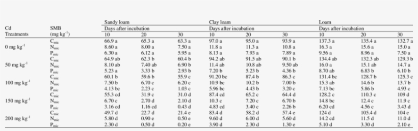 Elegant Soil Texture Png - Number, transparent png download