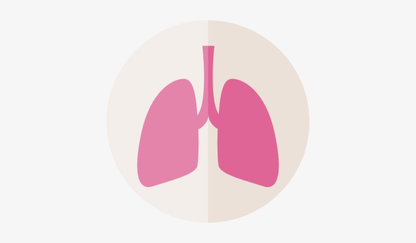 Lungs Icon Pictures Png Images - Heart And Lungs Png, transparent png download