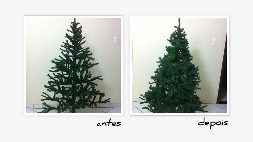 Tá Até Parecendo De Verdade Né - Christmas Tree, transparent png download