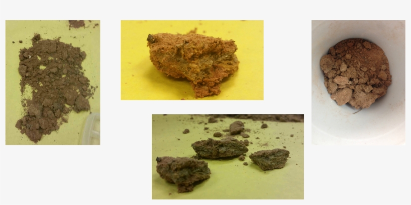 Soil Texture By Feel - Malt Loaf, transparent png download