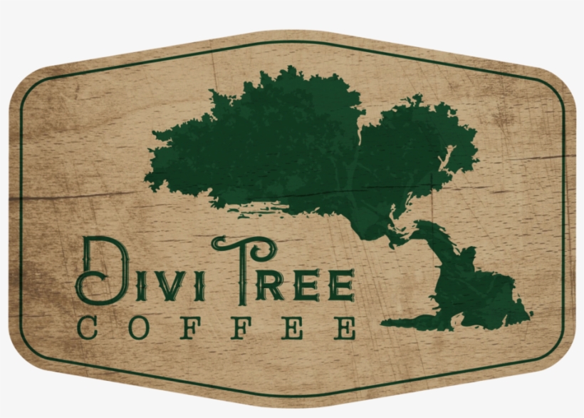 Logo - Divi Tree Coffee, transparent png download