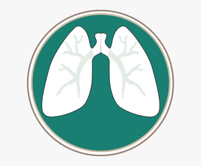Southern Lung Specialists, Pc - Lung Logo, transparent png download