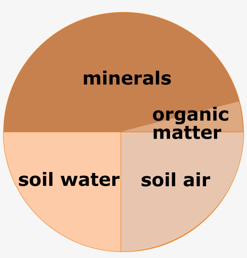 Resource Soil - Good Morning Dont Forget To Drink Water, transparent png download