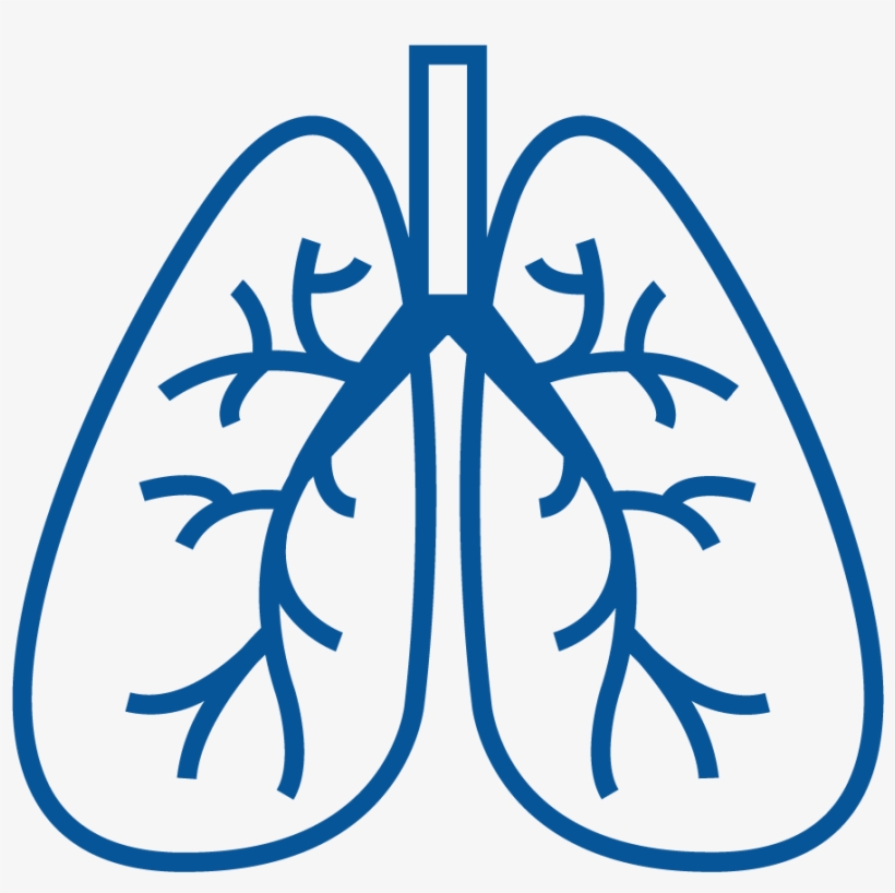 An Under-diagnosed And Expensive Condition - Organ Systems Icon Png, transparent png download