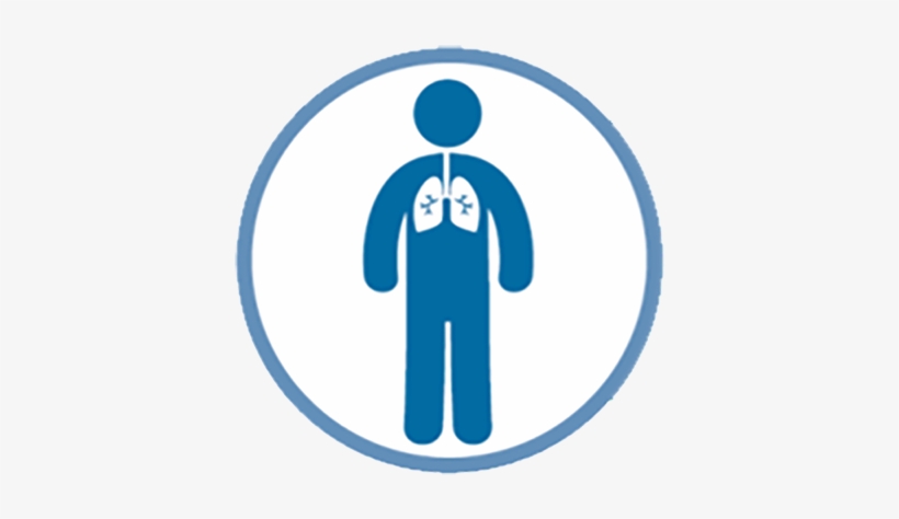 Lung Health Program Details - Lung Health, transparent png download