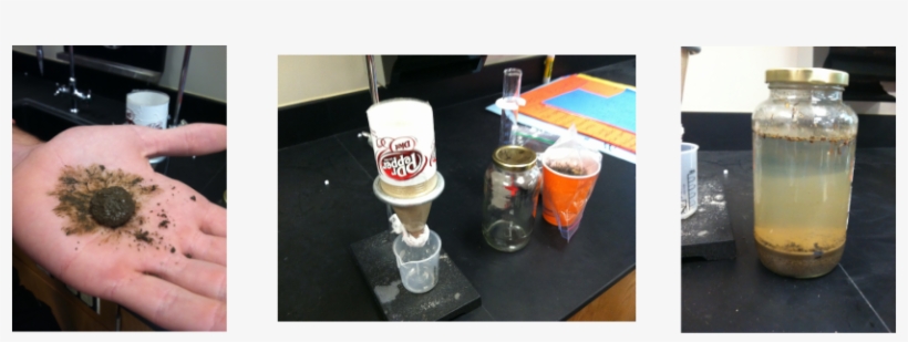 Based On The Analysis Of The Various Soil Types, There - Photograph, transparent png download