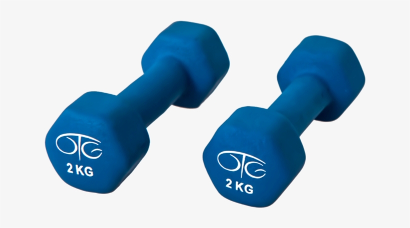 Servicio De Entrenador Personal - Sports Physiology (journal / Notebook), transparent png download