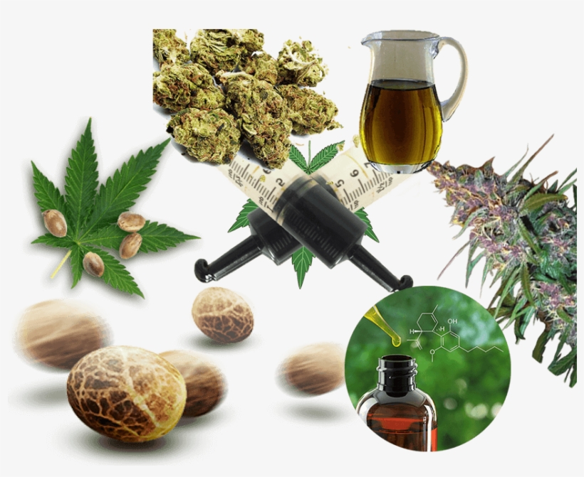We Have Specialized In Various Weed Products And Strains - Der Halbe Tod. Bernd Diksen, - Ebook, transparent png download