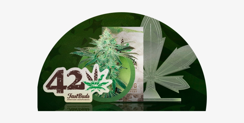 Encuéntralas En Cannabis Club - Label, transparent png download