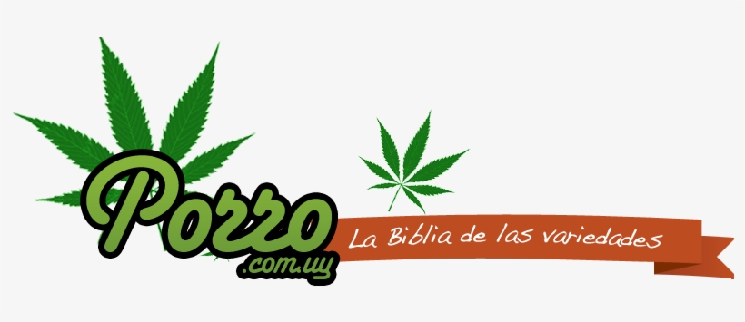 Porro Uruguay Logo - Cannabis Leaf Cube Ottoman, transparent png download