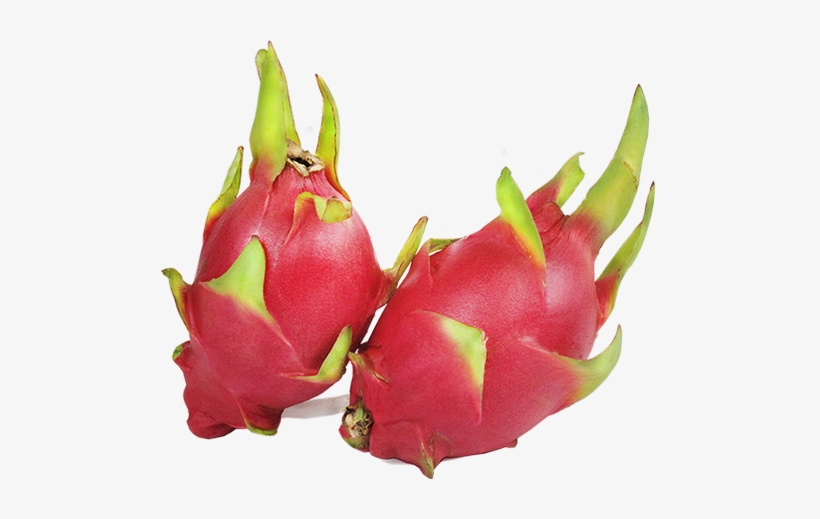 Pitaya, transparent png download
