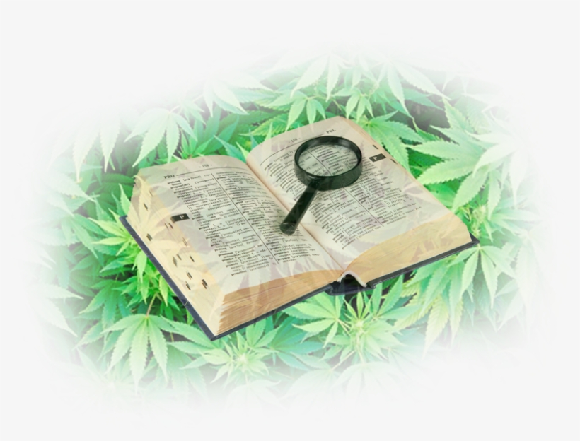 Humo En Forma De O - Converse Baggins Original Hi Top Bc Camo, transparent png download