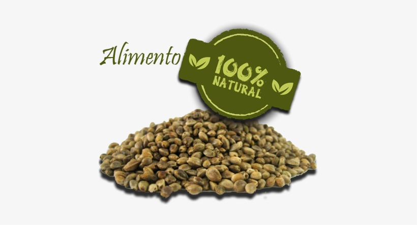 La Semilla De Cáñamo Como Alimento - Sterilized, Hemp Seeds, 1 To10 Lbs - 1 Lb. - 1.3, transparent png download