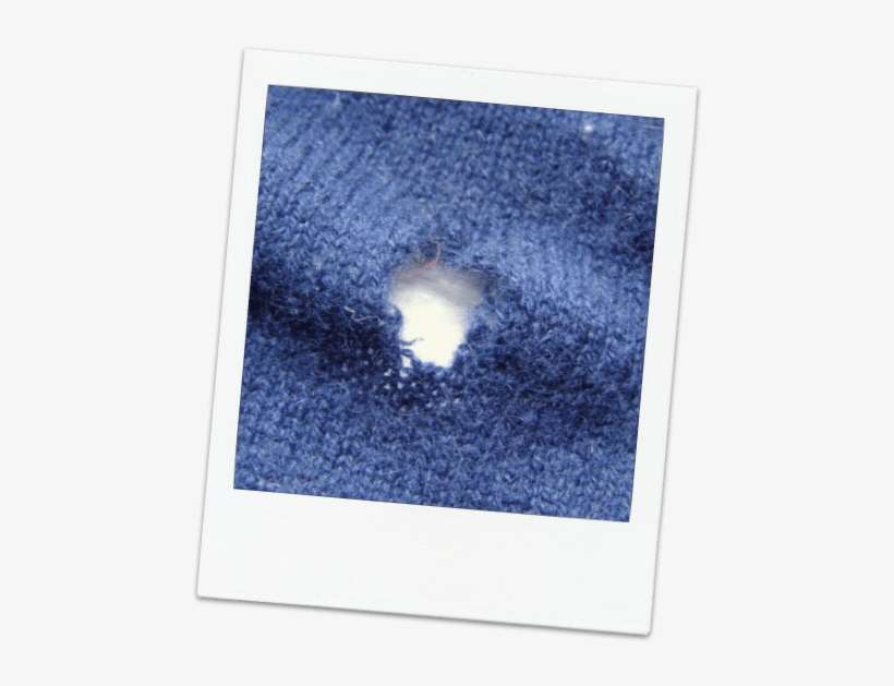 Dreaded Moth Holes - Moth Holes In Clothes, transparent png download