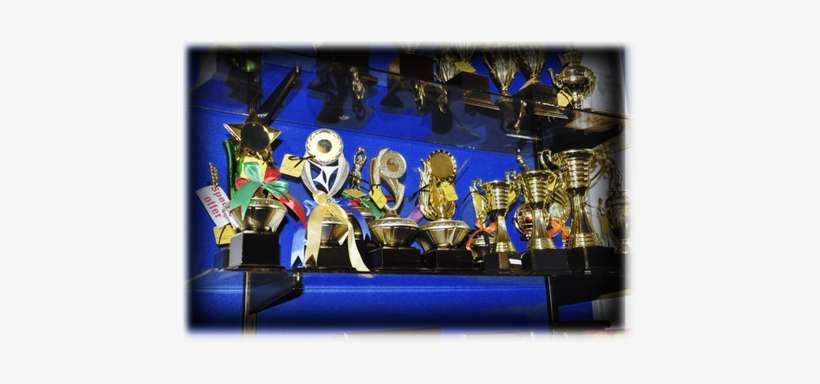 Furnifitsfurnifits - Furni Fits Trophies (pvt) Ltd., transparent png download