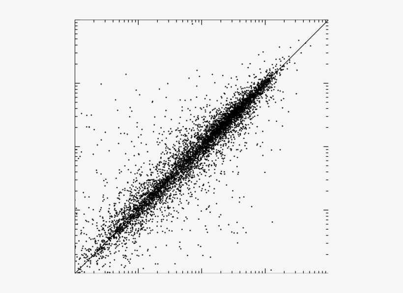 Qiuqing Zhang Phd University Of Utah, Utah Uou Department - Monochrome, transparent png download