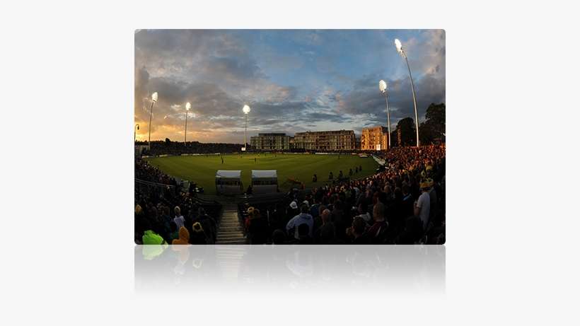 Cricket, transparent png download