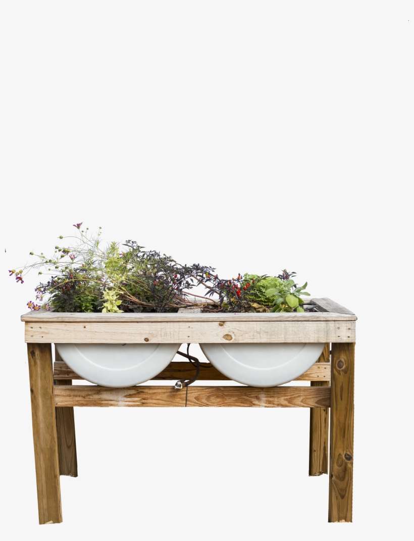 Such As Improved Planting Media, Good Drainage And, transparent png download