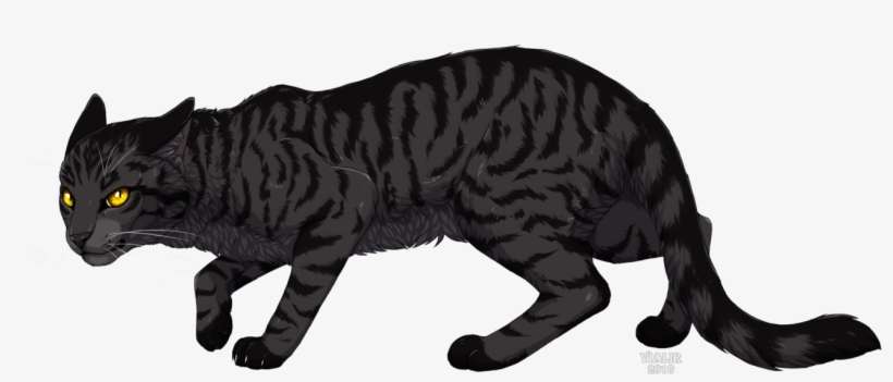 Arrow Of Time - Warrior Cats Dunkelstreif, transparent png download