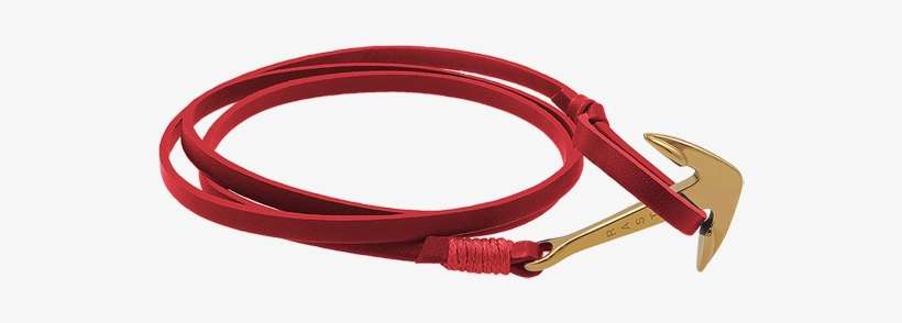 Gold Anchor-red - Ethernet Cable, transparent png download