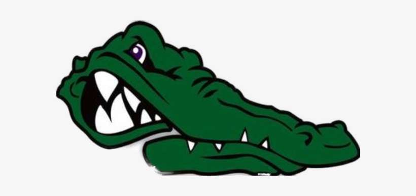 2018/19 Junior Varsity Boys Basketball Team - Florida Gators Football, transparent png download