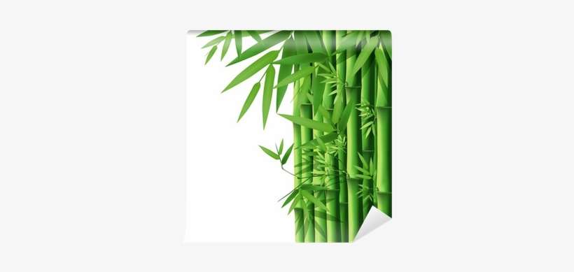Bamboo Clipart, transparent png download