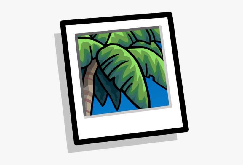 Tropical Palm Background Clothing Icon Id - Palm Trees, transparent png download