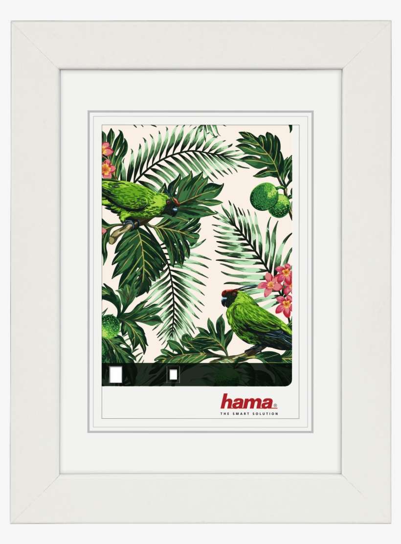 ´tropical´ Wooden Frame, White, 10 X 15 Cm - Hama, transparent png download