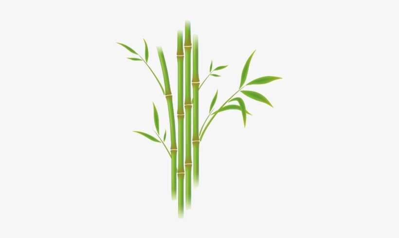 Babou-dessin - Comment Dessiner Du Bambou, transparent png download