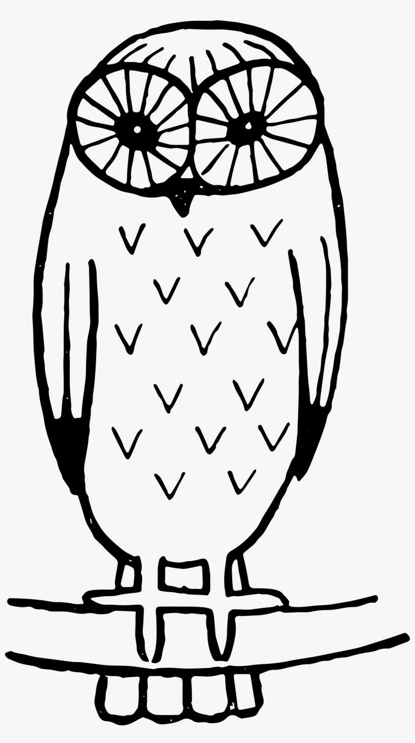 Owl Vector, Free Vector Images, Vector Free, Vector - Stock Vectors Png Royalty Free, transparent png download