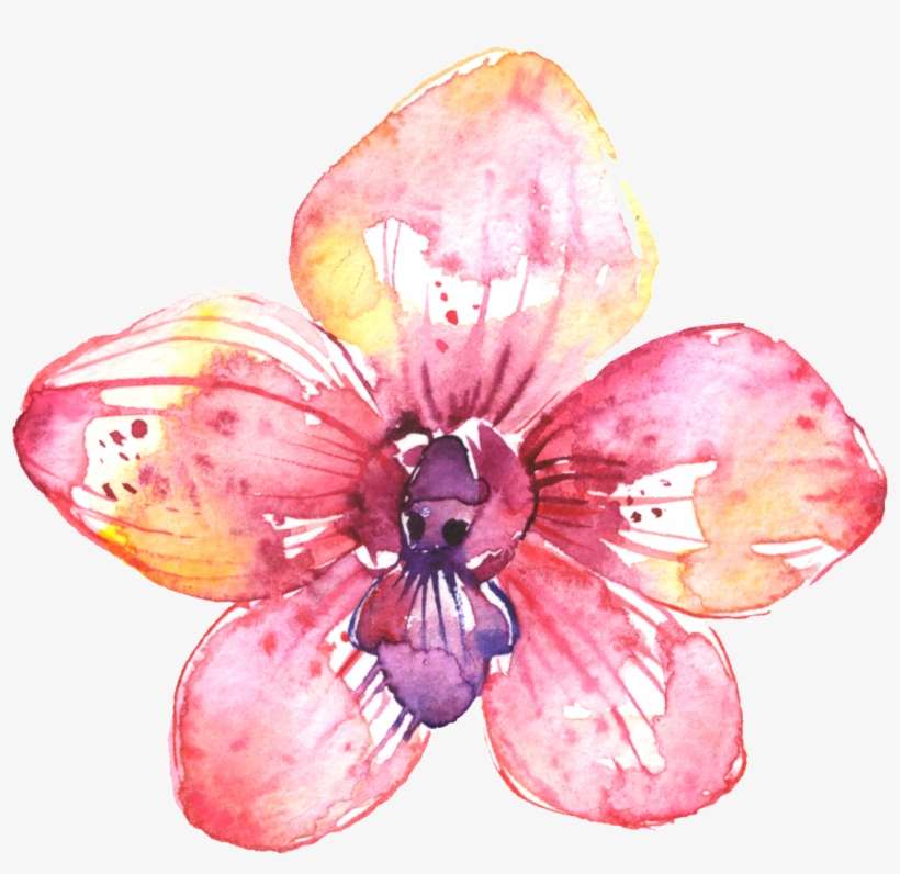 Painted Flower Petalos Rosa Png Estético, transparent png download