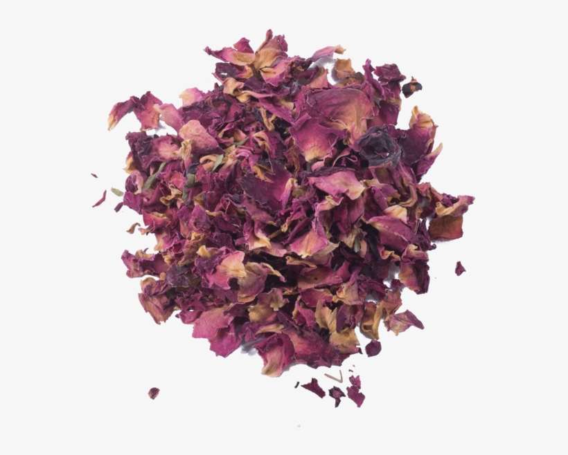 Petal, transparent png download