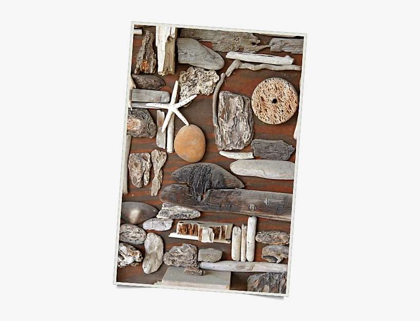 Bring The Beach Into Your Bedroom - Plank, transparent png download