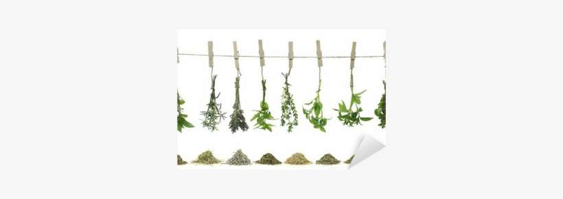 Dried Herbs, transparent png download
