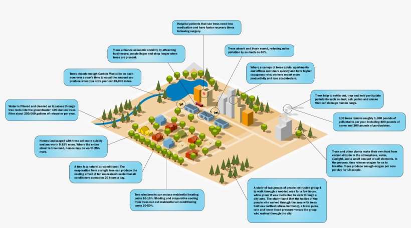 Home - - Plan, transparent png download