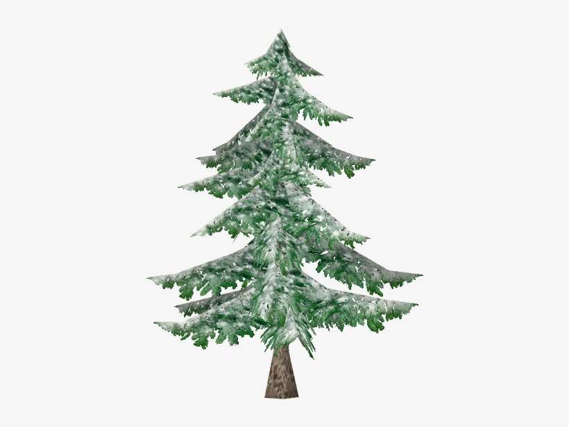 Snowy Balsem Fir - Christmas Tree, transparent png download