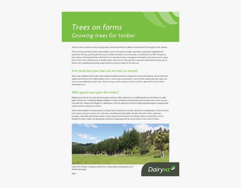 Trees For Timber - Tree, transparent png download