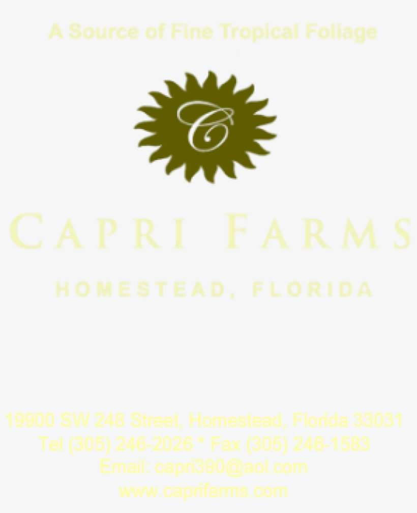 Cropped Capri Farms Twitter Background With Address - Floral Design, transparent png download