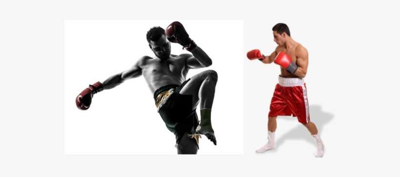 Peleadores De Muay Thai En El Campeonato ''guantes - Sac De Frappe De Vitesse, transparent png download